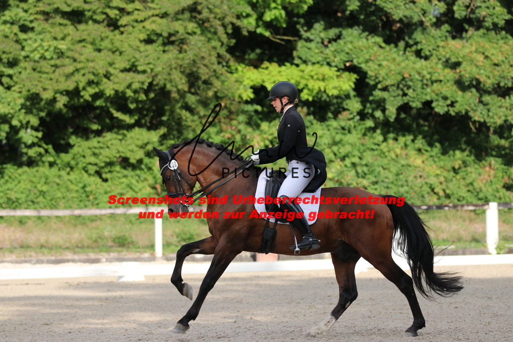 IMG_6126 | lmwpictures - Realisiert mit Pictrs.com