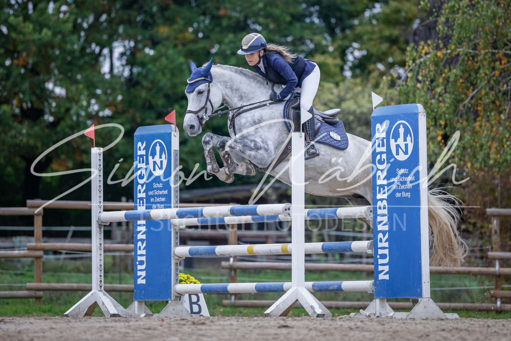 20251012-_3LI5080 | Tierfotografie Pferde, Hunde, Katzen, Haustiere.
Turnierfotografie Reitturniere, Reiten, Springreiten, Dressur in Hanau, dem Main-Kinzig-Kreis und dem Rhein-Main- Gebiet um Frankfurt