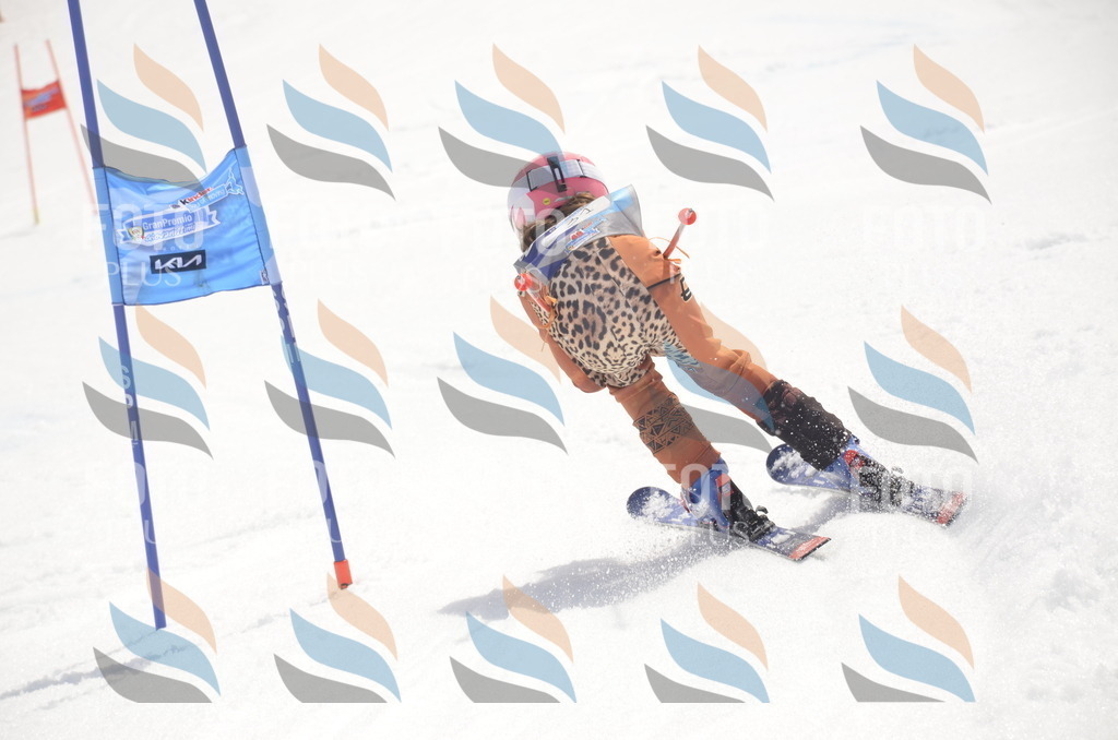 _ELE8933 | holidayphoto