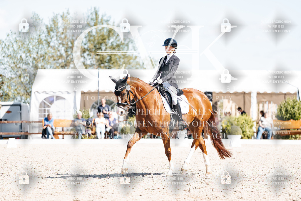 CK904026 | Turnierfotografie Pferdefotografie Trier Rheinland-Pfalz Pferdesport Reitsport Tierfotografie Sportfotografie Pferdevideo Pferdevideografie Equestrianvideography equestrianphotography  - Realisiert mit Pictrs.com