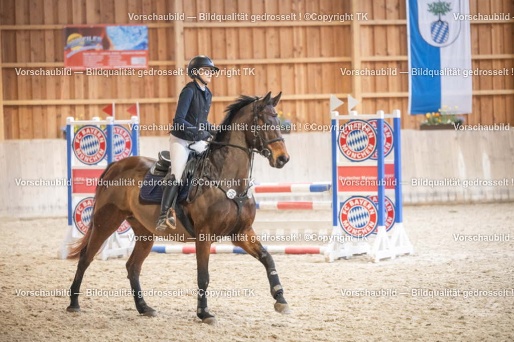 _D5A7833 | Emotionale Pferde- & People-Fotografie rund um Heidelberg, Leimen & Umgebung. Natürliche Fotos von Pferd, Mensch & Familie. Jetzt Termin sichern!