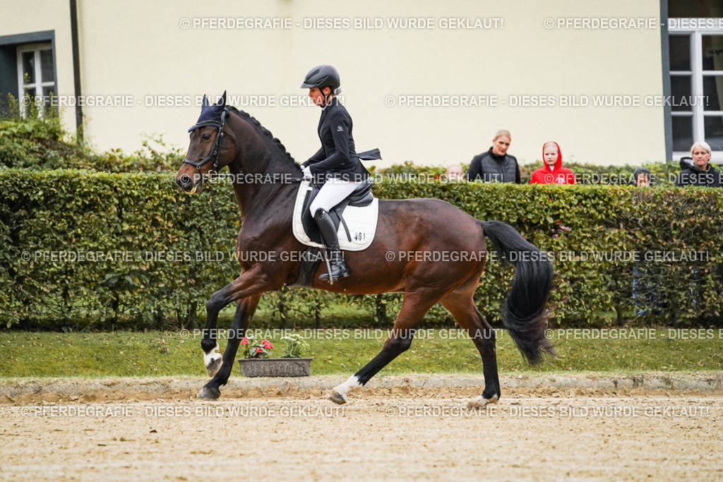 DSC06438 | Pferdegrafie