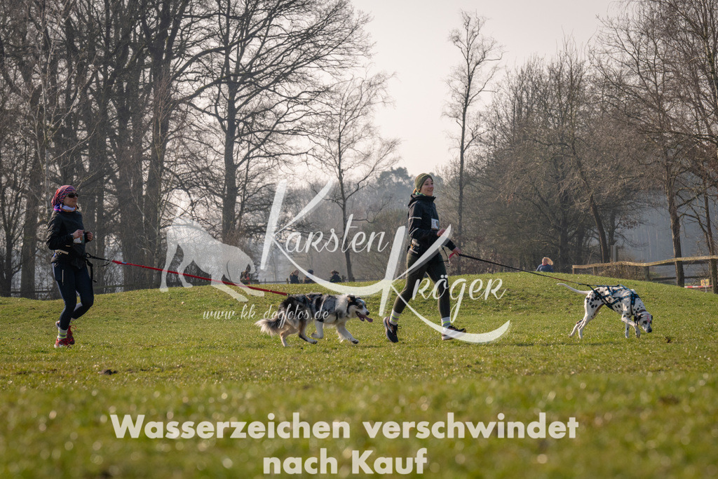 _ZZ94265 | kk-dogfotos