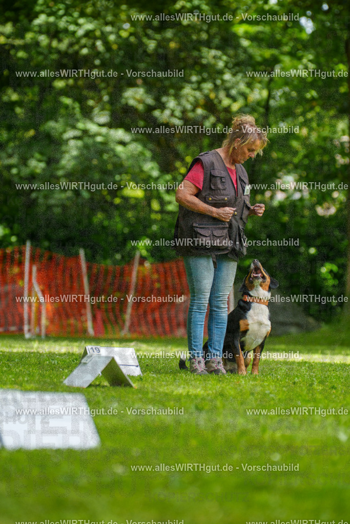 @allesWIRTHgut_Tierfotografie - www.allesWIRTHgut.de - 7R504622 | Professionelle Tierfotografie in Mönchengladbach von Daniel Wirth (allesWIRTHgut). Liebevolle & natürliche Bilder von Hunden & Katzen für unvergessliche Erinnerungen.