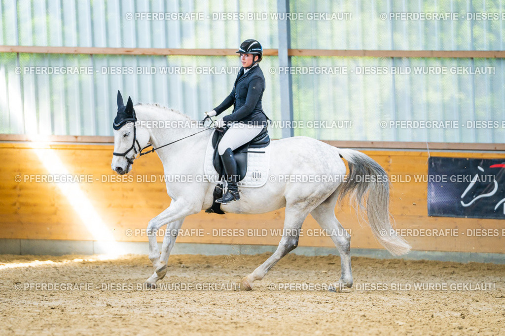 DSC07858 | Pferdegrafie