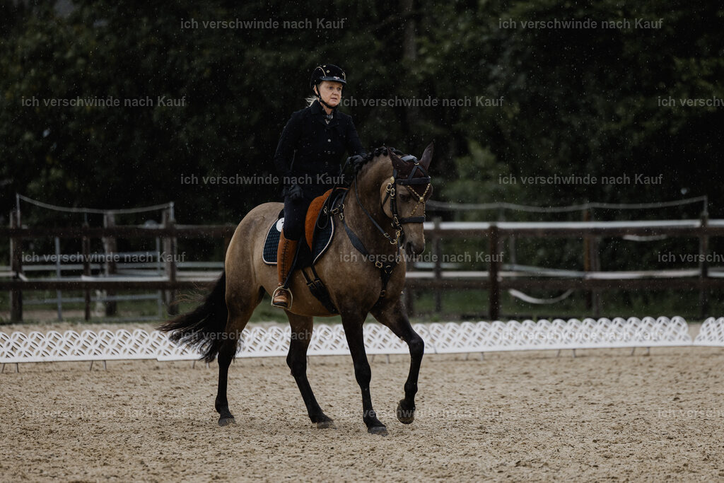 Katja7_FHC2025-24669 | working equitationturnier fotograf videograf stoibphotography marixx film working equitation deutschland reitsport turnierfotografie eventfotografie equestrian events