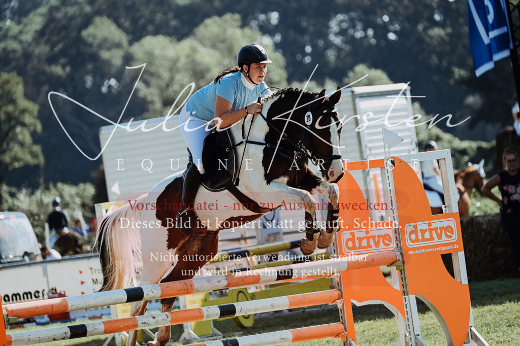 DSC_5474 | Pferde- und Turnierfotografie in Westsachsen. Pferdeportraits, Auftragszeichnungen und intuitive Kunst.