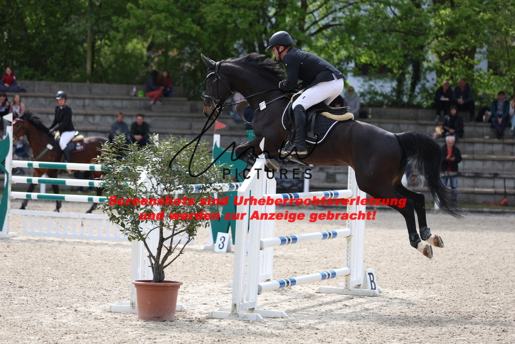 A40A4903 | lmwpictures - Realisiert mit Pictrs.com