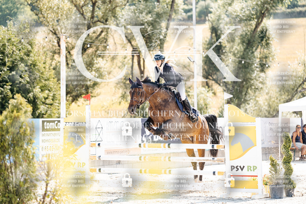 CK908657 | Turnierfotografie Pferdefotografie Trier Rheinland-Pfalz Pferdesport Reitsport Tierfotografie Sportfotografie Pferdevideo Pferdevideografie Equestrianvideography equestrianphotography  - Realisiert mit Pictrs.com