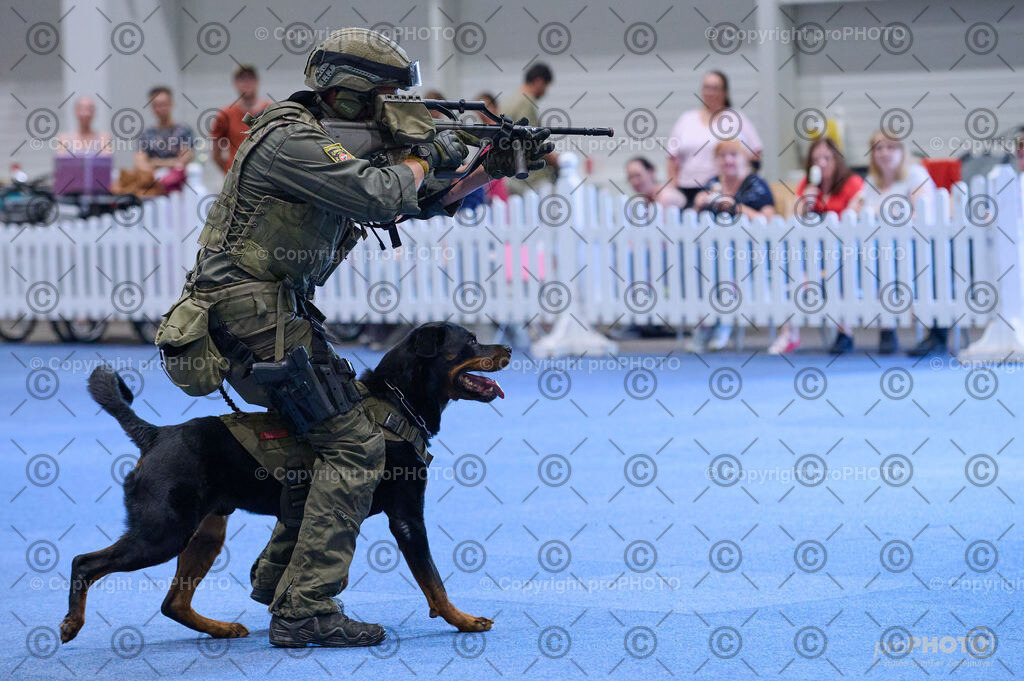 202406_ÖKV-IHA-Tulln24_DSC_3572 | proPHOTO - Realisiert mit Pictrs.com