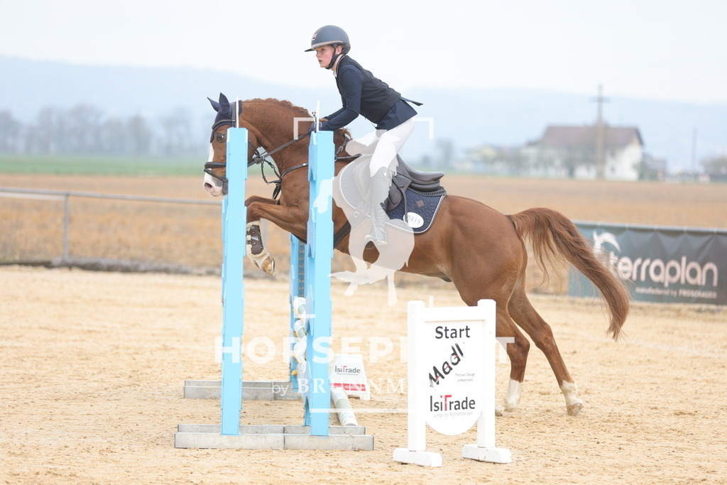 0P6A8789 | Willkommen bei Brunnmayr - Design & Fotografie – Ihrem Spezialisten für Reitturniere und Pferdeveranstaltungen in Oberösterreich, Salzburg und Bayern! Seit über 17 Jahren sind wir leidenschaftlich dabei.