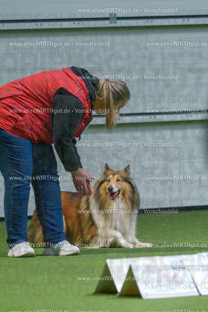 7R500480 | Professionelle Tierfotografie in Mönchengladbach von Daniel Wirth (allesWIRTHgut). Liebevolle & natürliche Bilder von Hunden & Katzen für unvergessliche Erinnerungen.