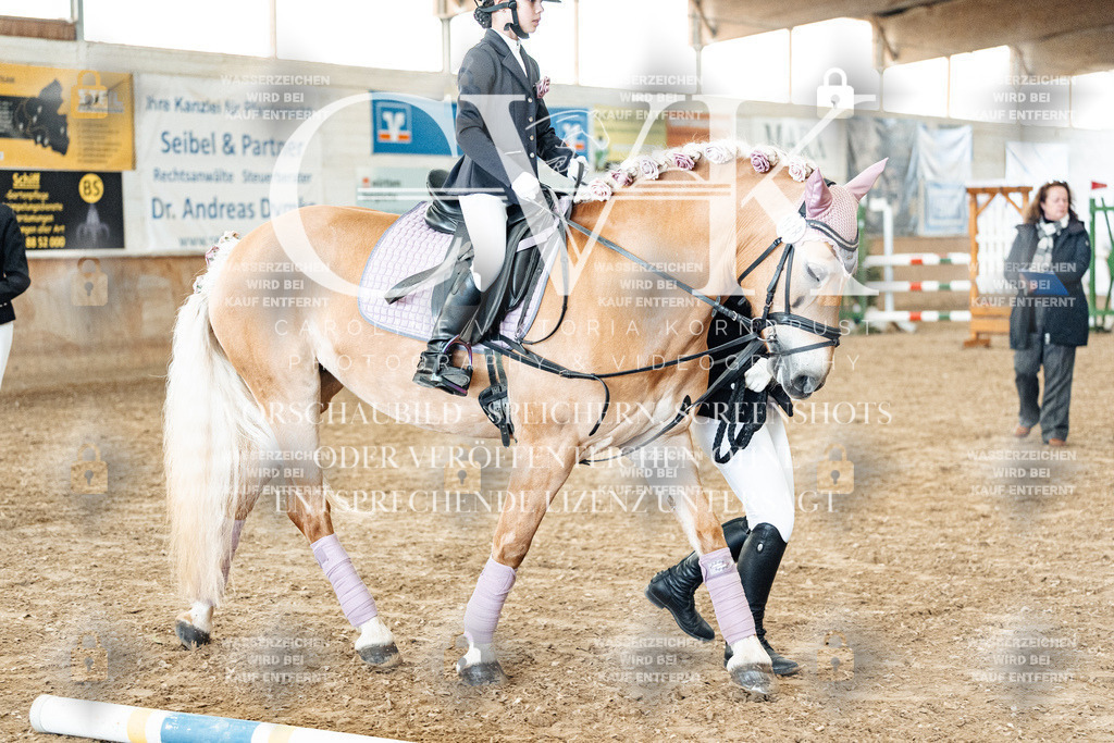 CK905692 | Turnierfotografie Pferdefotografie Trier Rheinland-Pfalz Pferdesport Reitsport Tierfotografie Sportfotografie Pferdevideo Pferdevideografie Equestrianvideography equestrianphotography  - Realisiert mit Pictrs.com