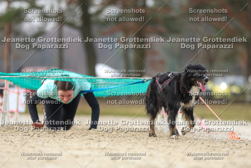Dog Paparazzi - Strongdog North Mrz26-4367 | Dog Paparazzi Jeanette Grottendiek Fotografie & Videografie - Realisiert mit Pictrs.com