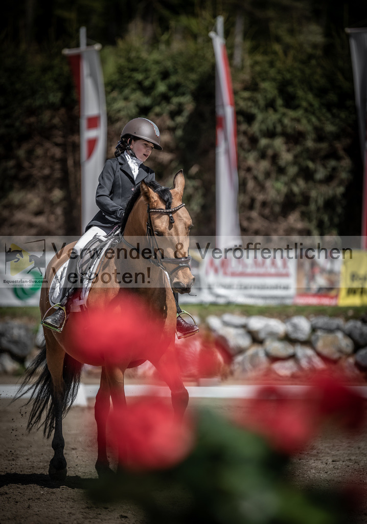 DSC_0835 | equestrian-live-com