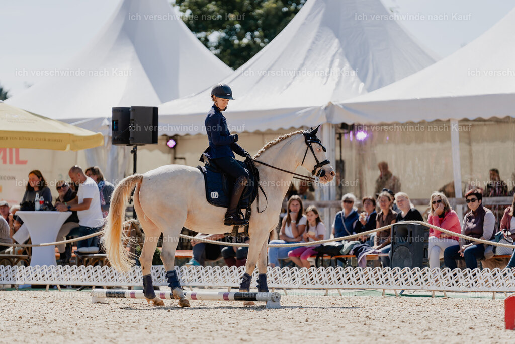 Nici11_FHC2025-08509 | working equitationturnier fotograf videograf stoibphotography marixx film working equitation deutschland reitsport turnierfotografie eventfotografie equestrian events