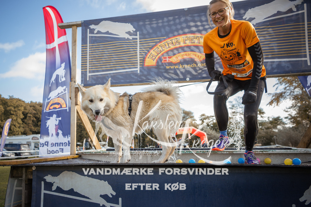 1301_ZZ98711-2 | kk-dogfotos