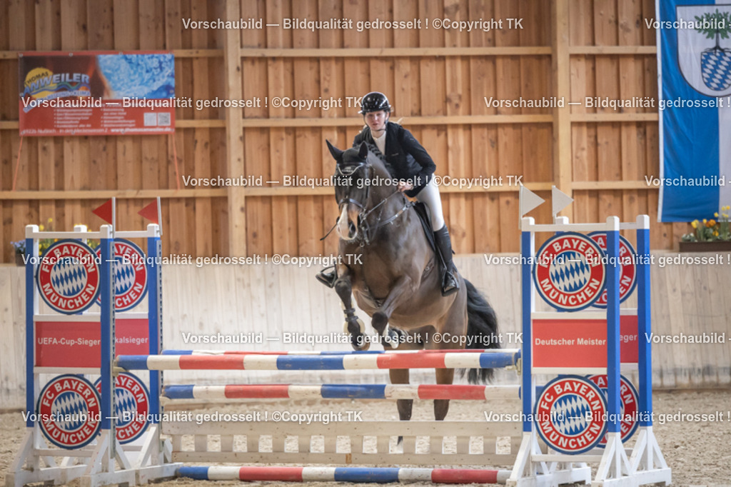 _D5A7701 | Emotionale Pferde- & People-Fotografie rund um Heidelberg, Leimen & Umgebung. Natürliche Fotos von Pferd, Mensch & Familie. Jetzt Termin sichern!