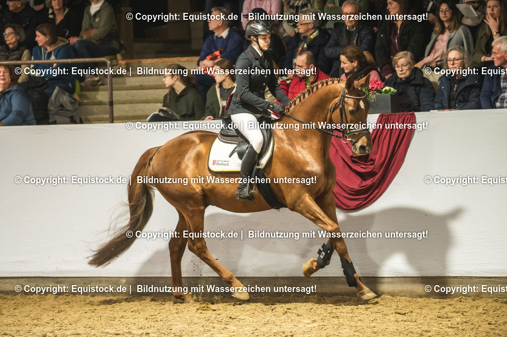 20240302_Hengstvorstellung_Marbach_TOMsPiC_1365 | equistock