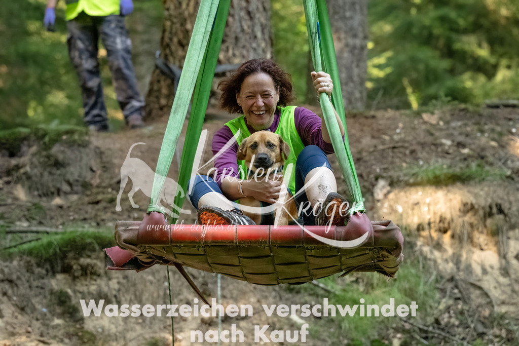 1408_ZZ94590-Bearbeitet-3 | kk-dogfotos