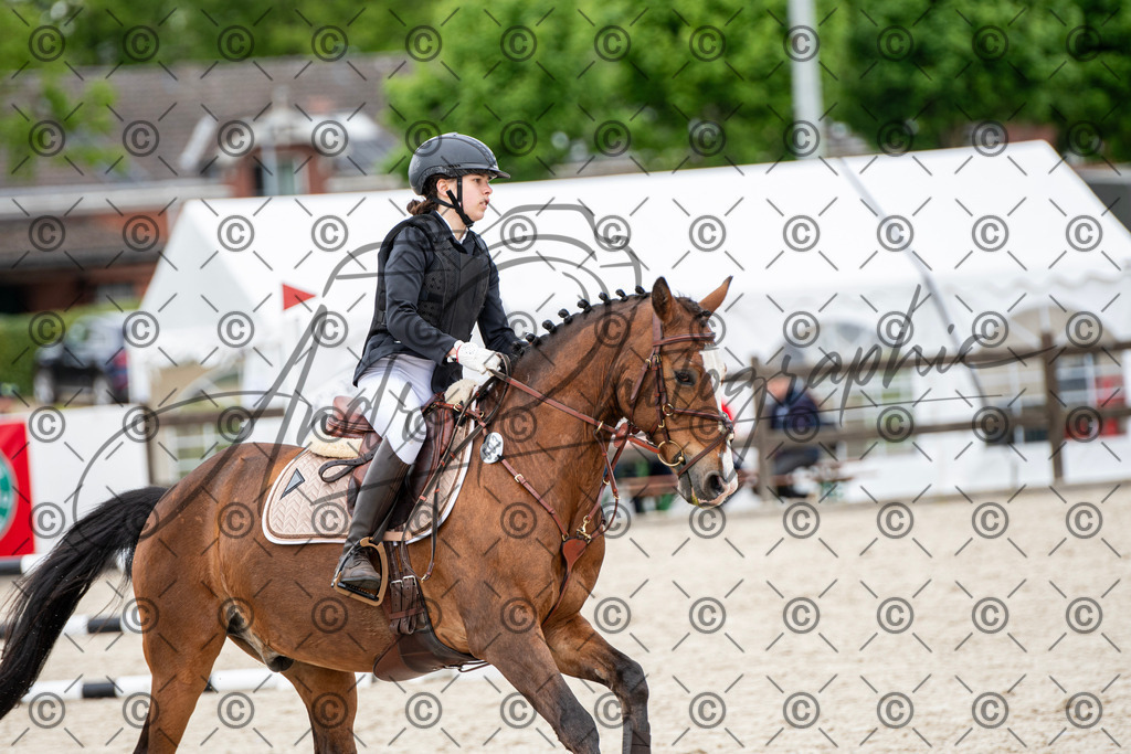 KPT_6382 | andre_photographic