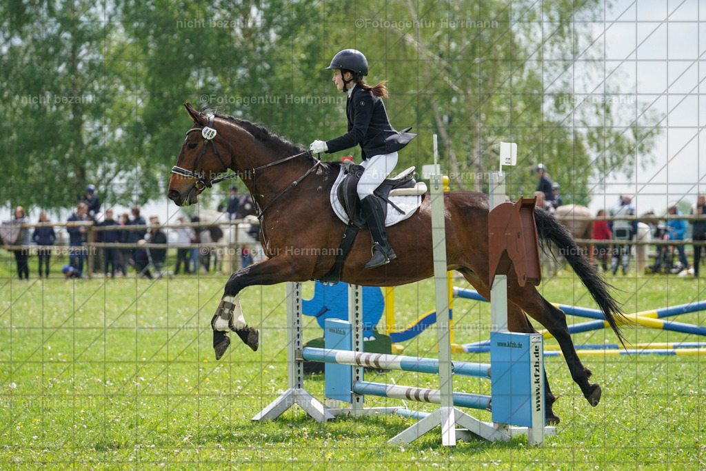 20240509-FAH02342 | Turnierbilder der Turnierfotografen Bayern, Pferdesport Fotografie, Reitsportbilder, Turnier Landberg am Lech, Turnierbilder bayern, Fotoagentur Herrmann