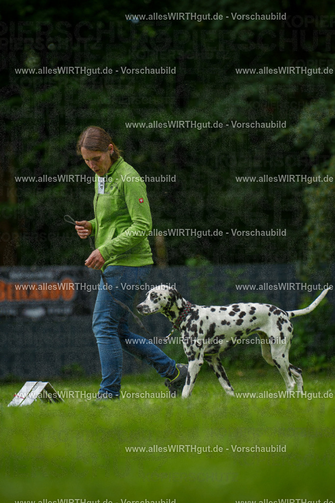 @allesWIRTHgut_Tierfotografie - www.allesWIRTHgut.de - 135057-7R500065 | Professionelle Tierfotografie in Mönchengladbach von Daniel Wirth (allesWIRTHgut). Liebevolle & natürliche Bilder von Hunden & Katzen für unvergessliche Erinnerungen.
