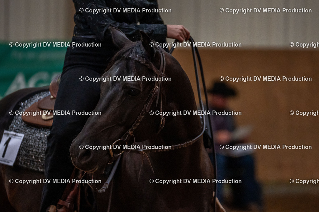 Neckargemünd Tag 3-142 | dv-media-shop - Realisiert mit Pictrs.com