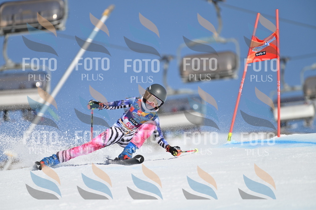 BGV_8563 | holidayphoto