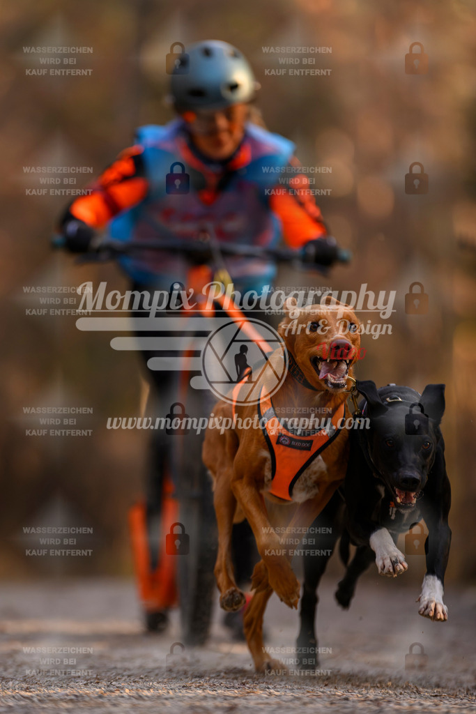 MompixPhotography_DM_AKDM_SO_2025_Scooter-31 | PayLife