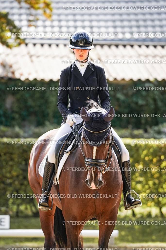 DSC08893 | Pferdegrafie