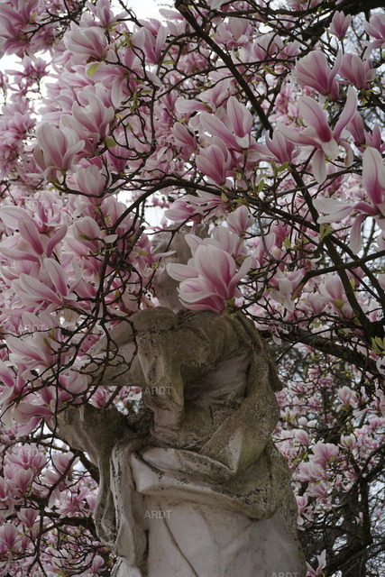 Momente 1 | Palastgarten Trier