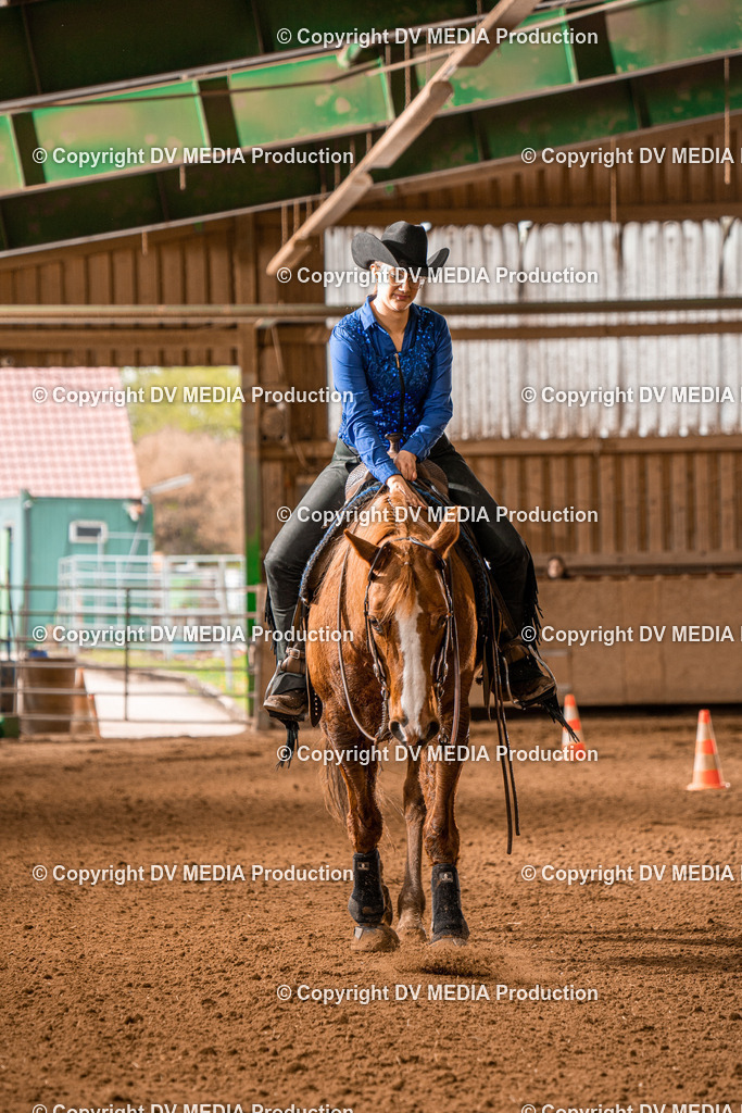 BAL00570 | dv-media-shop - Realisiert mit Pictrs.com