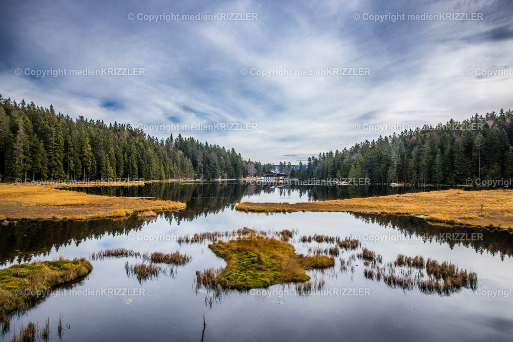 _J3A9068 | medienkrizzler - Realisiert mit Pictrs.com