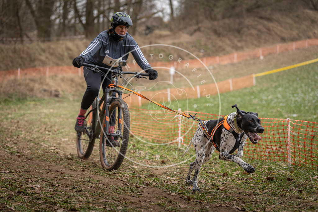 Pfotenfotografie_DV3A6792 | Hundefotografie, Tierfotograf, Pfotenfotografie, Fotoshooting Hund, Hunde Portrait, Hundesport, Hundeportraits, Heideshooting, Hunde, Sportfotograf, Hundefotograf, Turnierhundsport, THS,  - Realisiert mit Pictrs.com