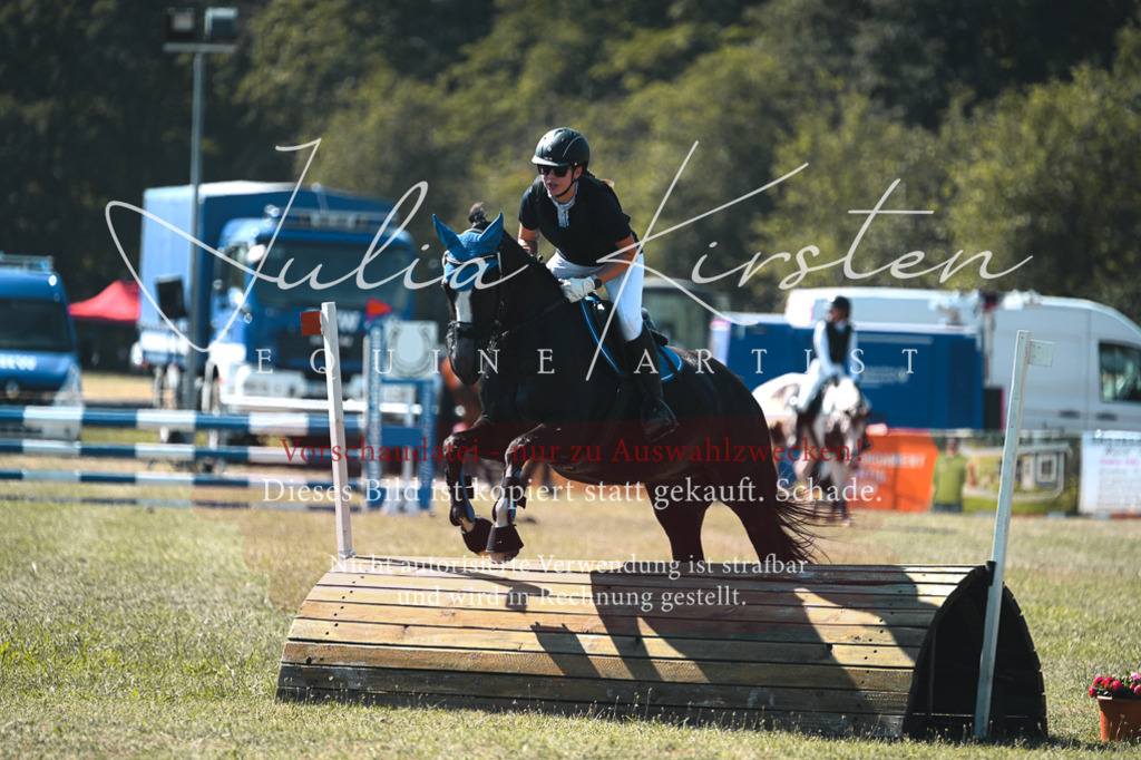 DSC_8105 | Pferde- und Turnierfotografie in Westsachsen. Pferdeportraits, Auftragszeichnungen und intuitive Kunst.