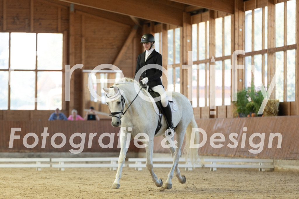 IMG_9768 | Creatify Fotografie