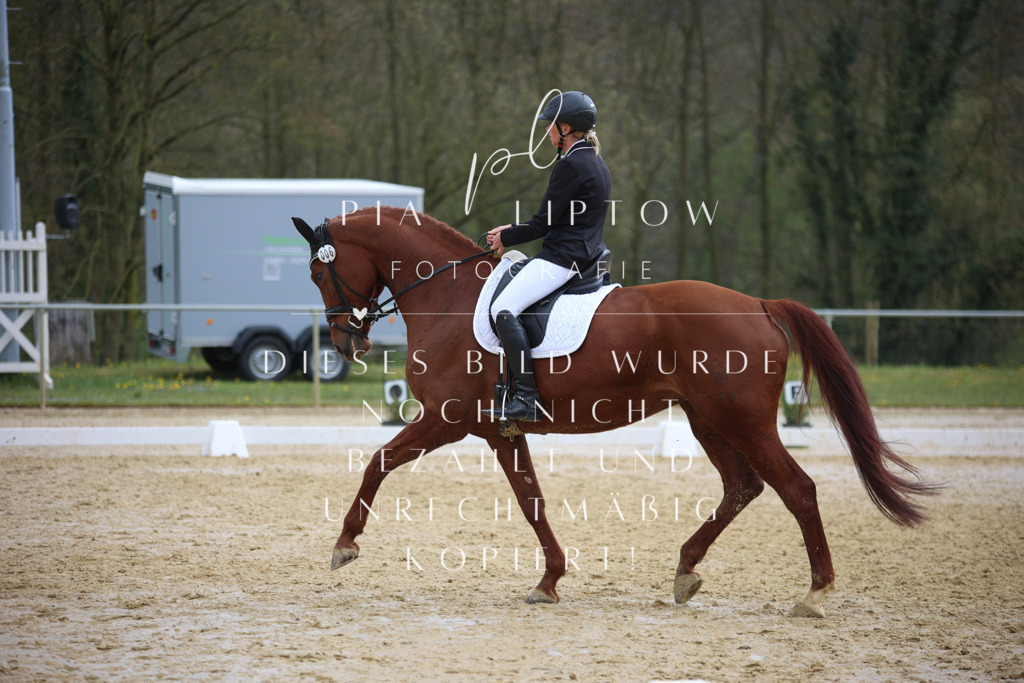 IMGT5169 | pl-fotografie