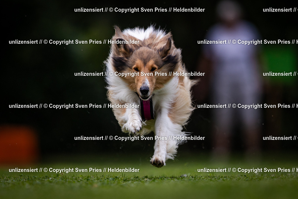 Sven Pries | 19. Allgemeines Hunderennen Karlsruhe Durlach - Realisiert mit Pictrs.com