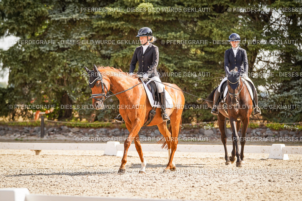 DSC00778 | Pferdegrafie