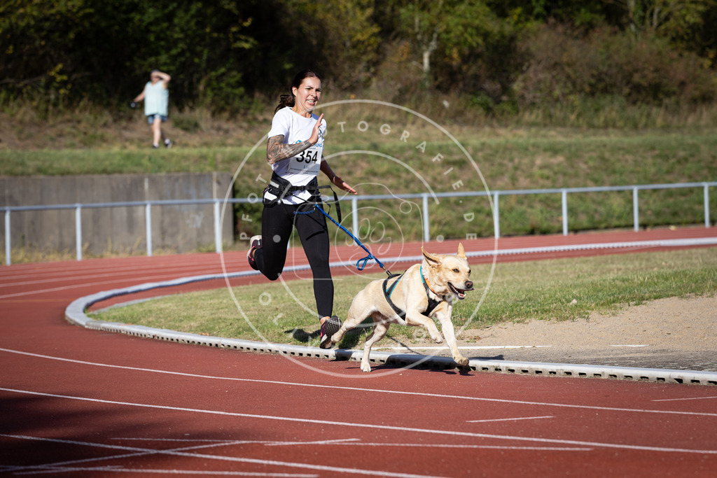 Pfotenfotografie_DV3A9865 | Hundefotografie, Tierfotograf, Pfotenfotografie, Fotoshooting Hund, Hunde Portrait, Hundesport, Hundeportraits, Heideshooting, Hunde, Sportfotograf, Hundefotograf, Turnierhundsport, THS,  - Realisiert mit Pictrs.com