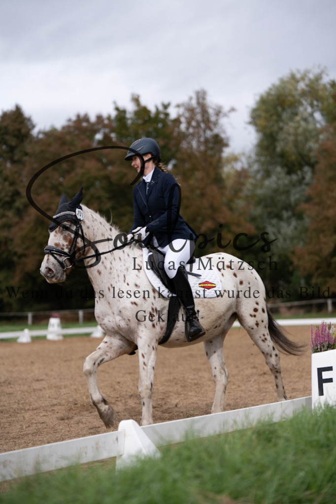 A7V05229 | Pferdefotograf