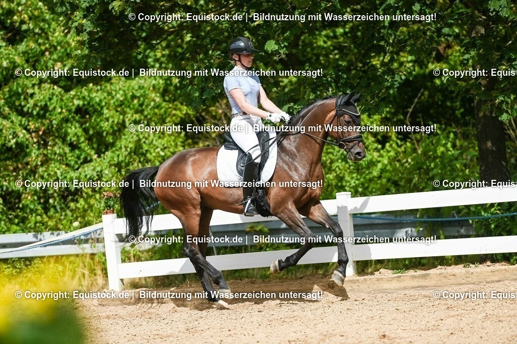 20230715_02_Dressurreiterprüfung Kl.L_0414 | equistock