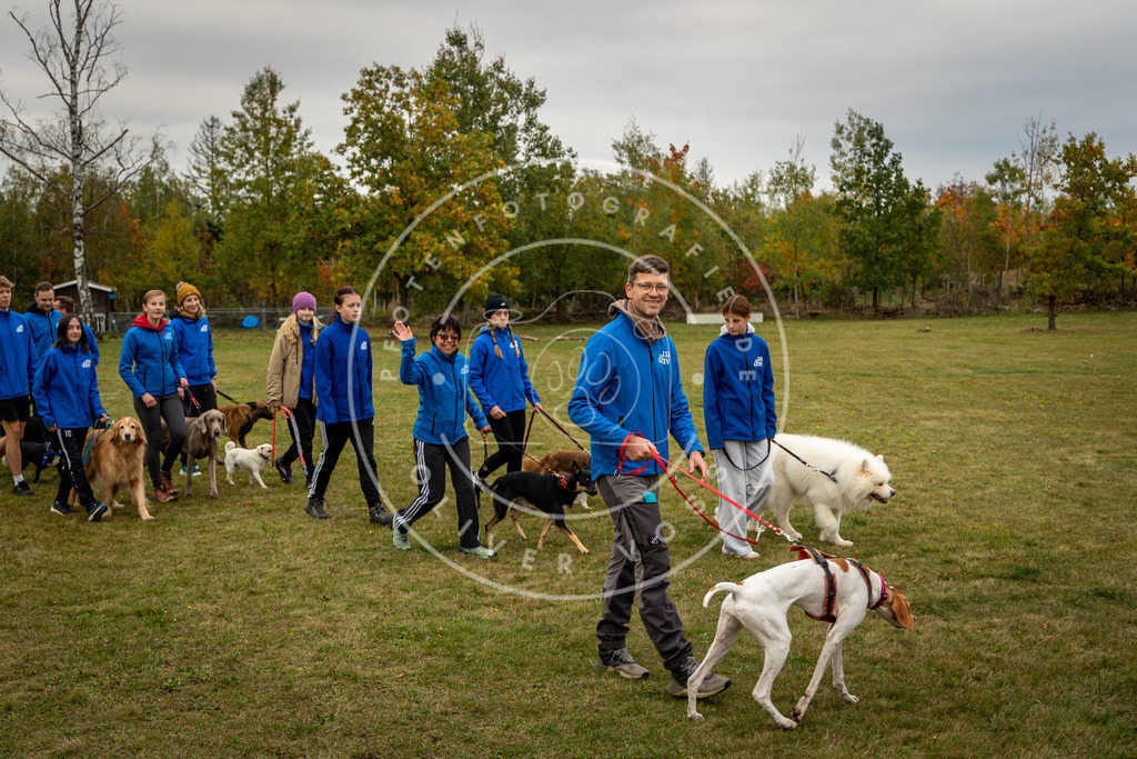 Pfotenfotografie_0L8A0280 | Hundefotografie, Tierfotograf, Pfotenfotografie, Fotoshooting Hund, Hunde Portrait, Hundesport, Hundeportraits, Heideshooting, Hunde, Sportfotograf, Hundefotograf, Turnierhundsport, THS,  - Realisiert mit Pictrs.com