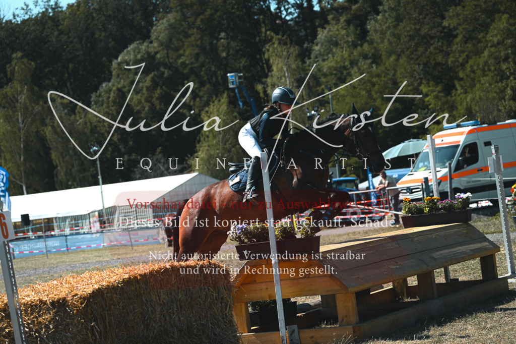 DSC_8370 | Pferde- und Turnierfotografie in Westsachsen. Pferdeportraits, Auftragszeichnungen und intuitive Kunst.
