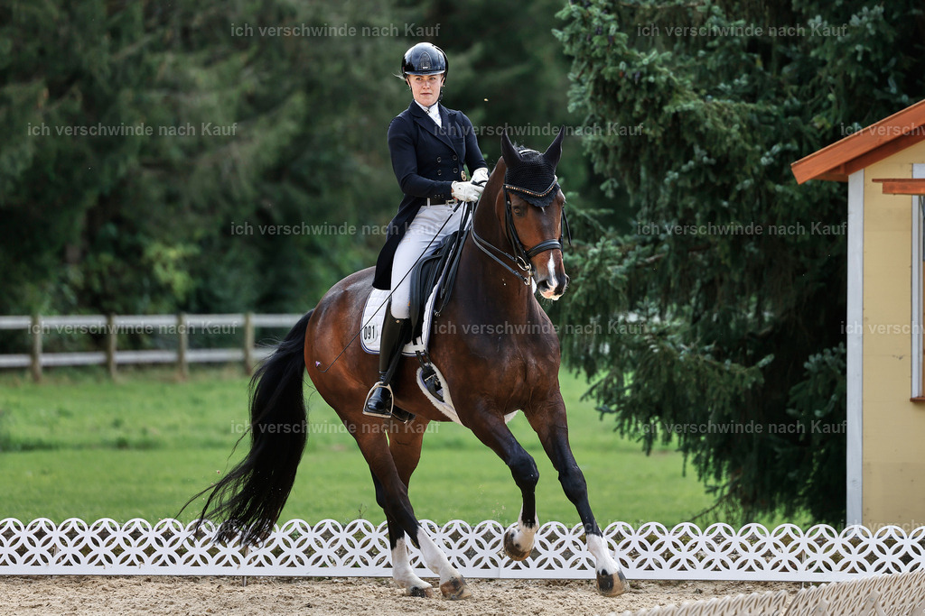 11-091-Dressur S___-StoibPH-1292 | working equitationturnier fotograf videograf stoibphotography marixx film working equitation deutschland reitsport turnierfotografie eventfotografie equestrian events