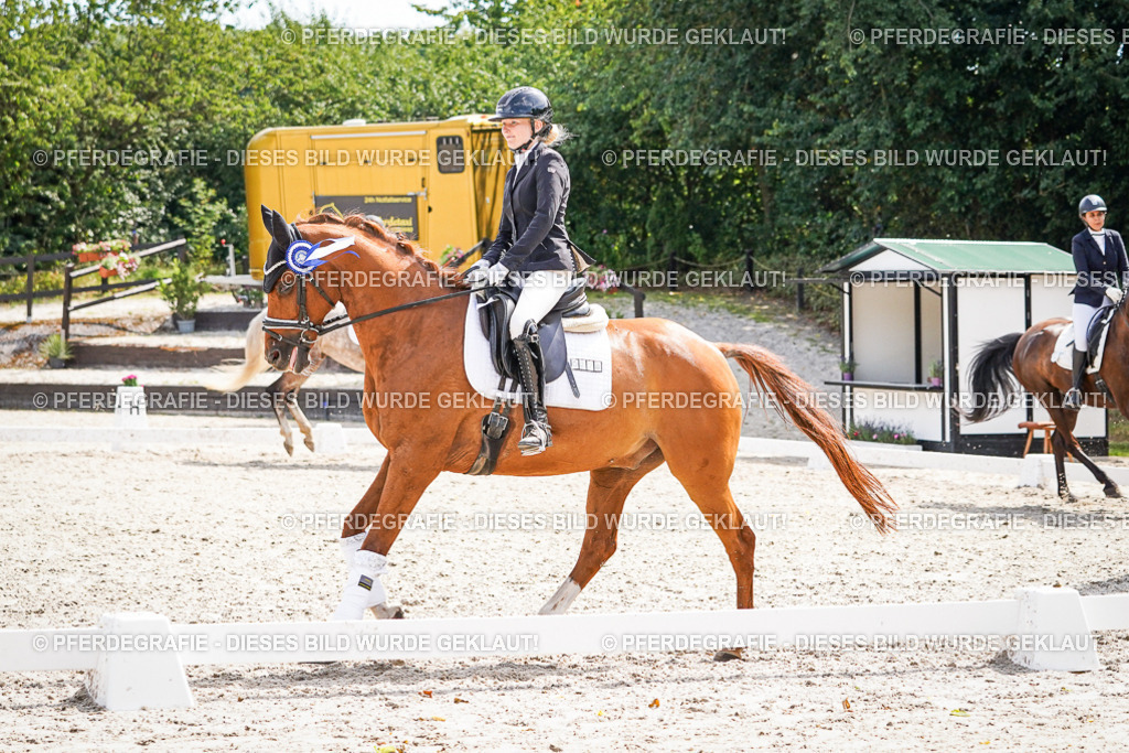 DSC02330 | Pferdegrafie