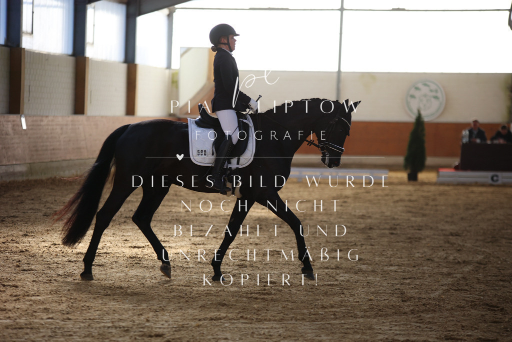 IMGT6146 | pl-fotografie