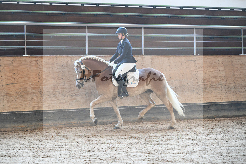 Kat-Nr. 4 Bonfire v. Bon Jovi_Freidhof-Debes_43250104 | hf-fotografie - Realisiert mit Pictrs.com