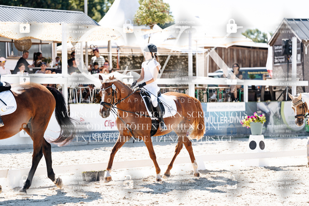 CK902511 | Turnierfotografie Pferdefotografie Trier Rheinland-Pfalz Pferdesport Reitsport Tierfotografie Sportfotografie Pferdevideo Pferdevideografie Equestrianvideography equestrianphotography  - Realisiert mit Pictrs.com
